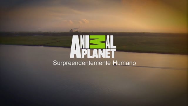 VIDAS NOS RIOS