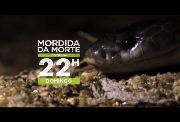 Mordida Mortal