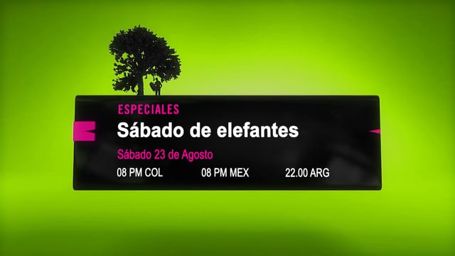 Sábado de Elefantes