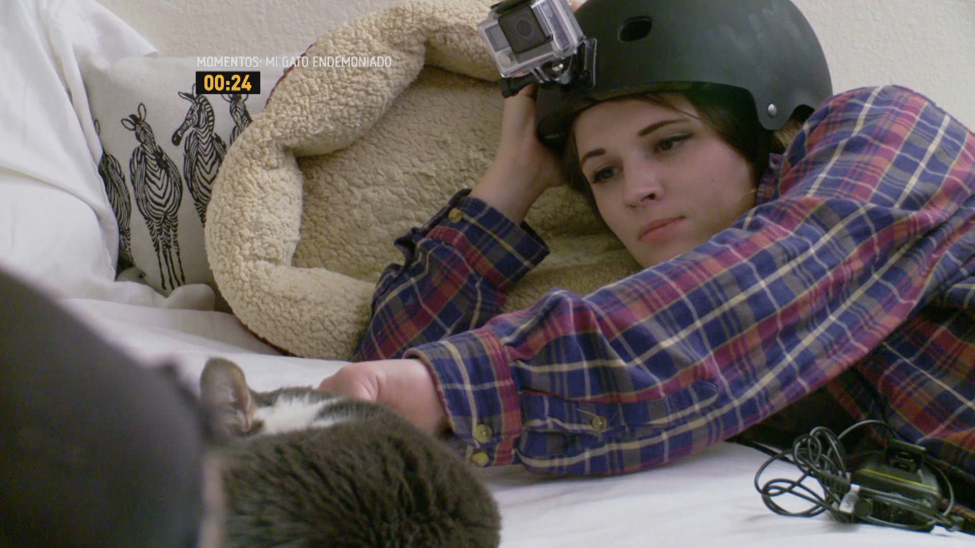 ANIMAL PLANET – FILLER