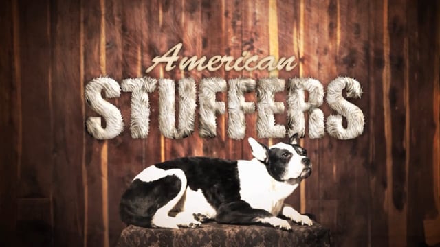 ANIMAL PLANET American Stuffers
