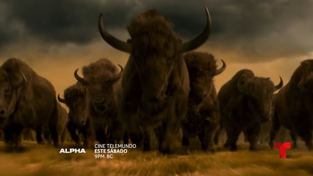 CineTLMD Alpha